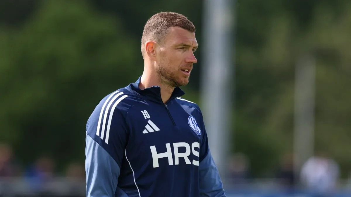 Edin Džeko u dresu FC Schalke 04