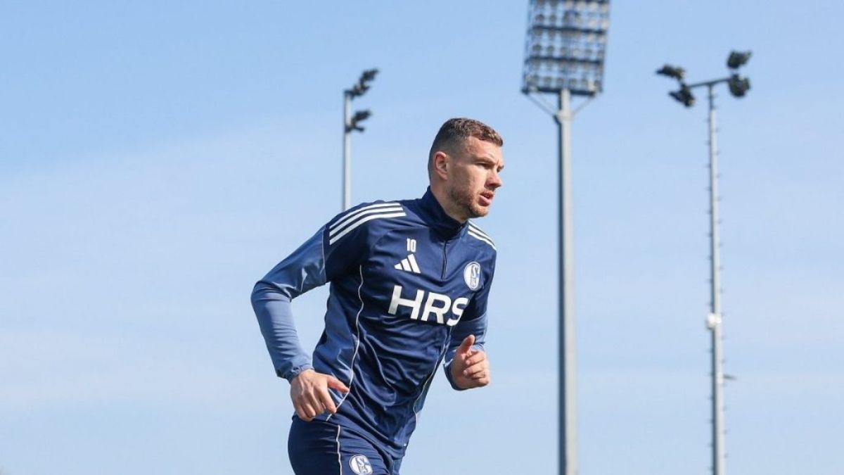 Edin Džeko u dresu Schalkea