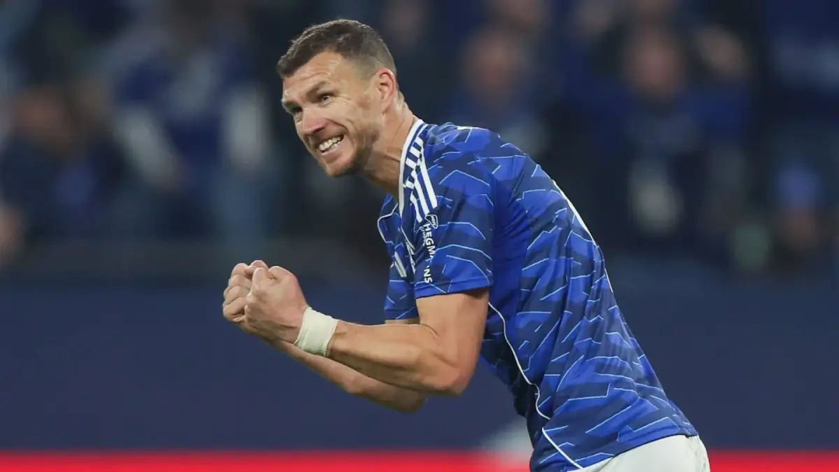 Edin Džeko u dresu Schalke 04