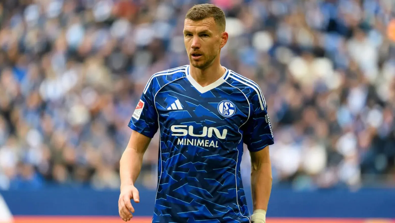 Nikola Katić i Edin Džeko u dresu Schalkea 04