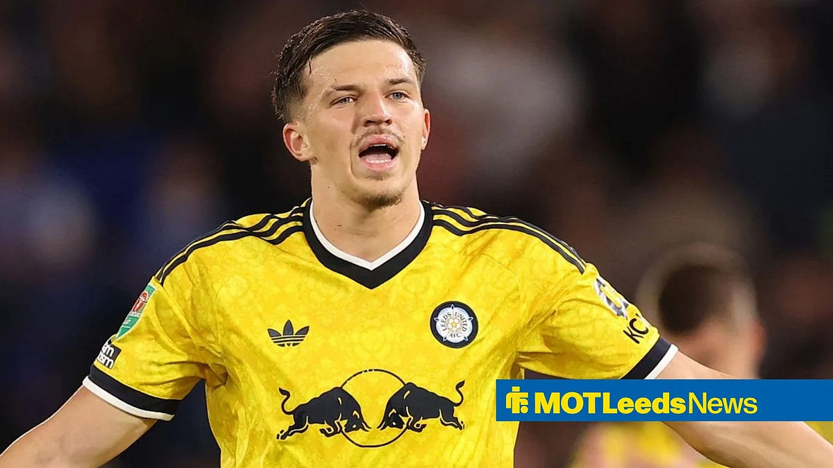 Tarik Muharemović u dvoboju na utakmici Leeds United protiv Sunderlanda
