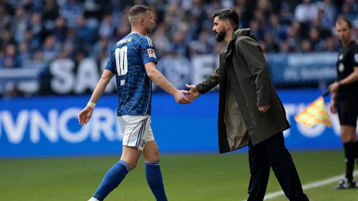 Edin Džeko pred potpisom za Schalke 04